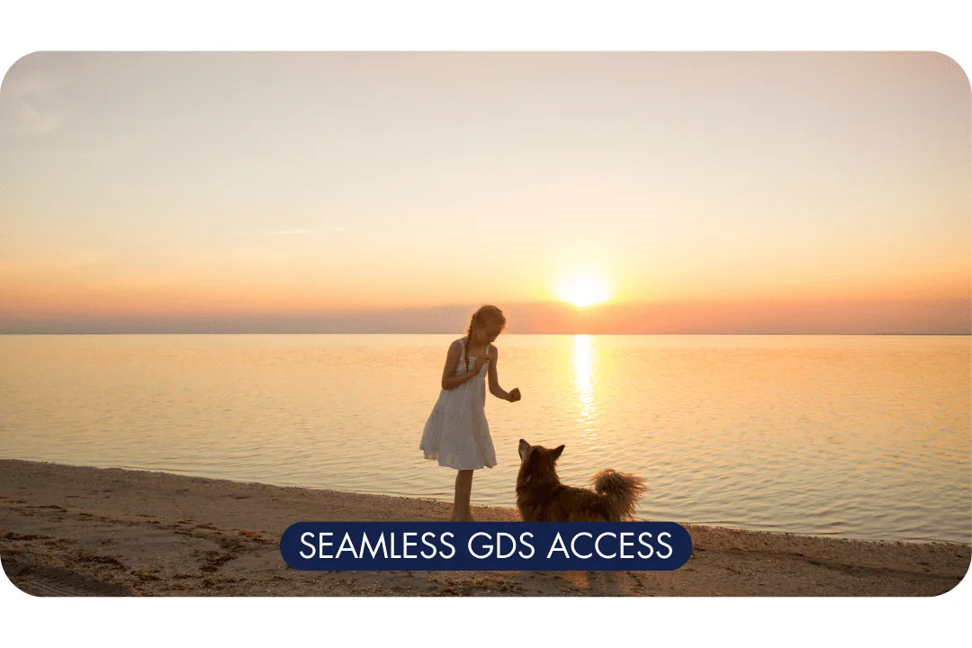 Seamless GDS access