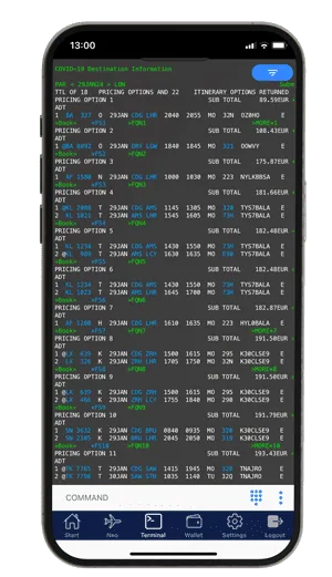GDS cryptic terminal on iPhone